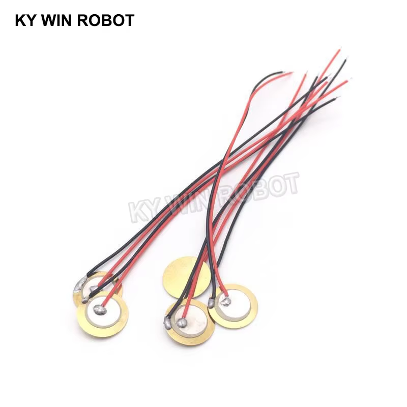 10 Buah Pelat Wafer Keramik Pi - Diy Electronics ulasan dan harga