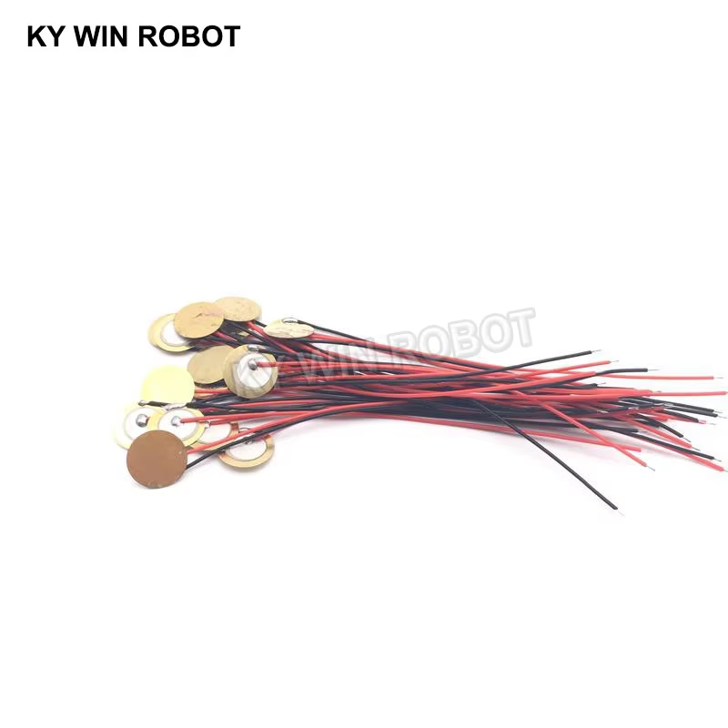 10 Buah Pelat Wafer Keramik Pi - Diy Electronics ulasan dan harga